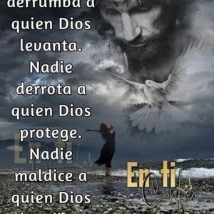 Meet your Posher, Daysi